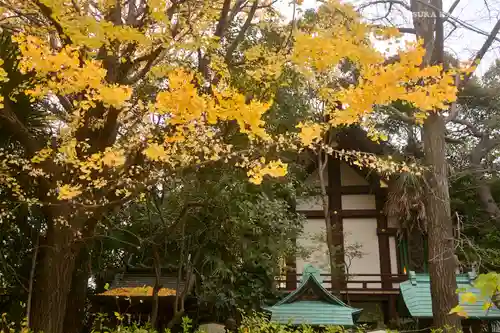 稲毛神社のその他建物