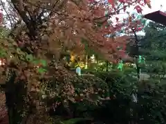 大井神社の庭園