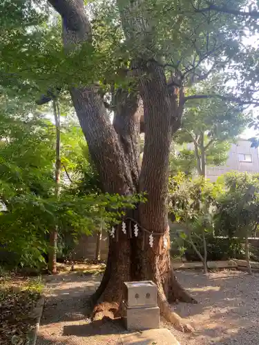 高龗神社・脇浜戎大社(大阪府)