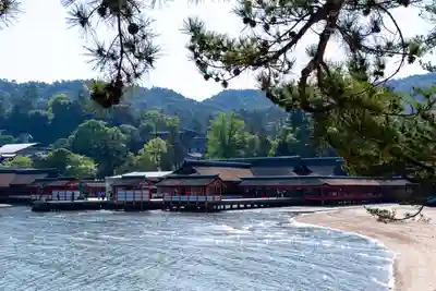 厳島神社(広島県)