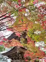 新海三社神社(長野県)