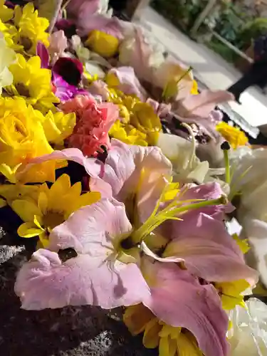 鳩森八幡神社の手水舎