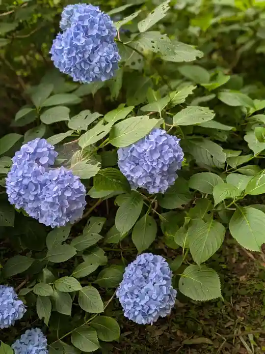 大宝八幡宮(茨城県)