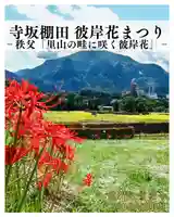 【公式】龍門院常楽寺(秩父札所十一番)(埼玉県)