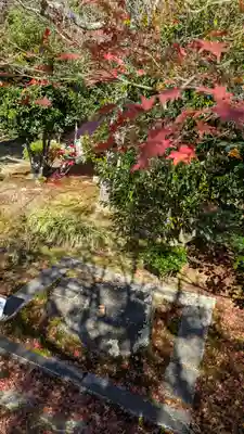 法金剛院(京都府)