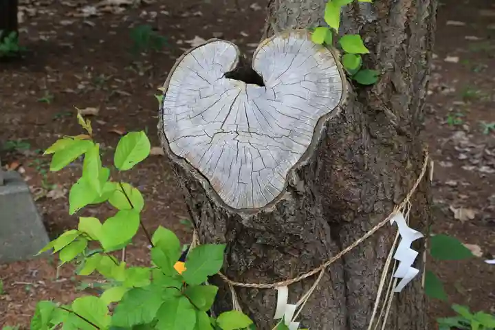 大谷地神社の自然