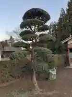 伏木香取神社の庭園