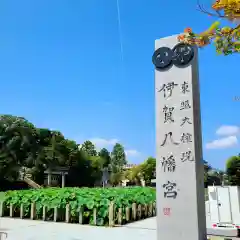 伊賀八幡宮(愛知県)