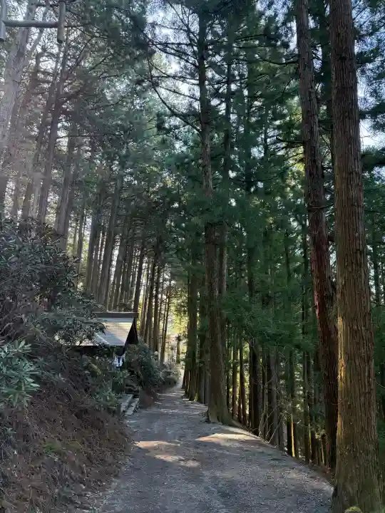 三峯神社の{uncategorized: "未分類", other: "その他", undefined: "問題あり", building: "その他建物", grave: "お墓", sacred_gate: "鳥居", guardian: "狛犬", statue: "像", buddha: "仏像", history: "歴史", nature: "自然", garden: "庭園", animal: "動物", pagoda: "塔", temizu: "手水舎", mountain_gate: "山門・神門", sanctuary: "本殿・本堂", subordinate: "末社・摂社", art: "芸術", scenery: "景色", jizo: "地蔵", ema: "絵馬", goshuin: "御朱印", omikuji: "おみくじ", items: "授与品その他", amulet: "お守り", goshuincho: "御朱印帳", eats: "食事", festival: "お祭り", votive_dance: "神楽", shichigosan: "七五三参", wedding: "結婚式", experience: "体験その他", initially: "初詣", around: "周辺", anti_infection: "感染症対策"}