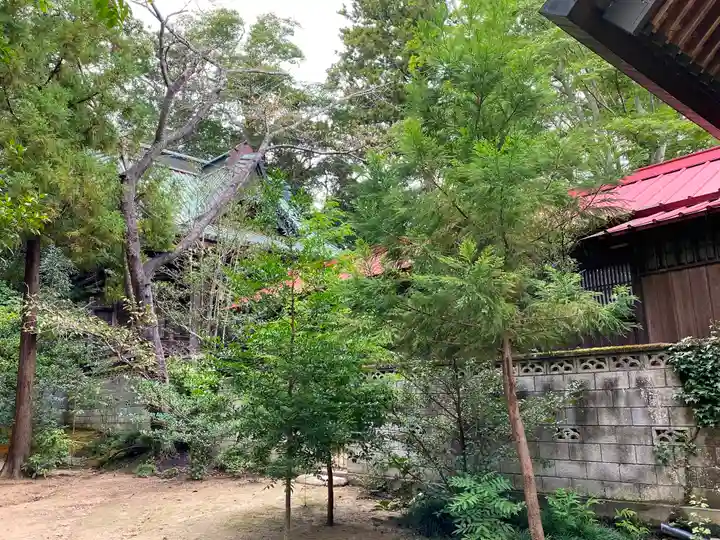 橘樹神社の本殿・本堂