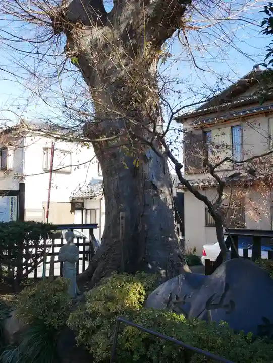 今宮坊のその他建物