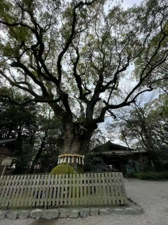 熱田神宮(愛知県)