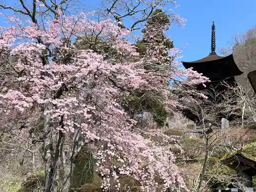 国宝 大法寺の景色