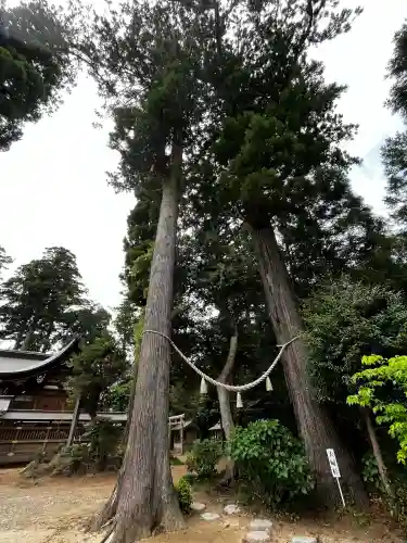 山倉大神の{uncategorized: "未分類", other: "その他", undefined: "問題あり", building: "その他建物", grave: "お墓", sacred_gate: "鳥居", guardian: "狛犬", statue: "像", buddha: "仏像", history: "歴史", nature: "自然", garden: "庭園", animal: "動物", pagoda: "塔", temizu: "手水舎", mountain_gate: "山門・神門", sanctuary: "本殿・本堂", subordinate: "末社・摂社", art: "芸術", scenery: "景色", jizo: "地蔵", ema: "絵馬", goshuin: "御朱印", omikuji: "おみくじ", items: "授与品その他", amulet: "お守り", goshuincho: "御朱印帳", eats: "食事", festival: "お祭り", votive_dance: "神楽", shichigosan: "七五三参", wedding: "結婚式", experience: "体験その他", initially: "初詣", around: "周辺", anti_infection: "感染症対策"}