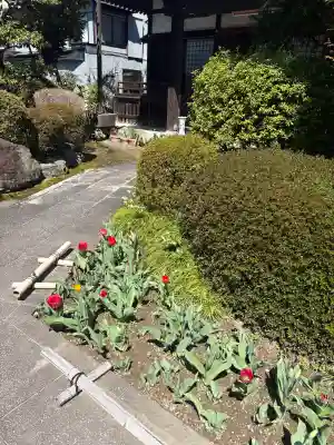 法東山　極楽寺の{uncategorized: "未分類", other: "その他", undefined: "問題あり", building: "その他建物", grave: "お墓", sacred_gate: "鳥居", guardian: "狛犬", statue: "像", buddha: "仏像", history: "歴史", nature: "自然", garden: "庭園", animal: "動物", pagoda: "塔", temizu: "手水舎", mountain_gate: "山門・神門", sanctuary: "本殿・本堂", subordinate: "末社・摂社", art: "芸術", scenery: "景色", jizo: "地蔵", ema: "絵馬", goshuin: "御朱印", omikuji: "おみくじ", items: "授与品その他", amulet: "お守り", goshuincho: "御朱印帳", eats: "食事", festival: "お祭り", votive_dance: "神楽", shichigosan: "七五三参", wedding: "結婚式", experience: "体験その他", initially: "初詣", around: "周辺", anti_infection: "感染症対策"}