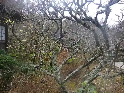 瑞泉寺のその他建物