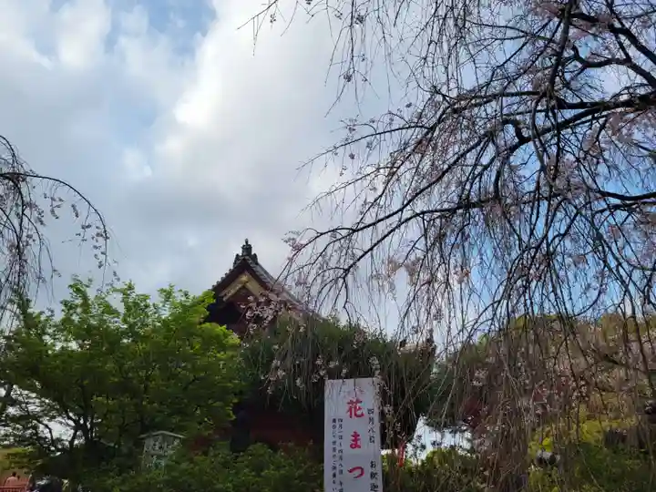 清水観音堂(東京都)