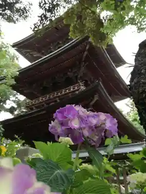 椎尾山薬王院の塔