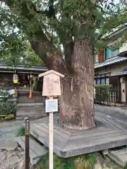 晴明神社(京都府)