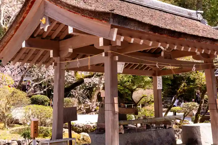 賀茂別雷神社(上賀茂神社)(京都府)