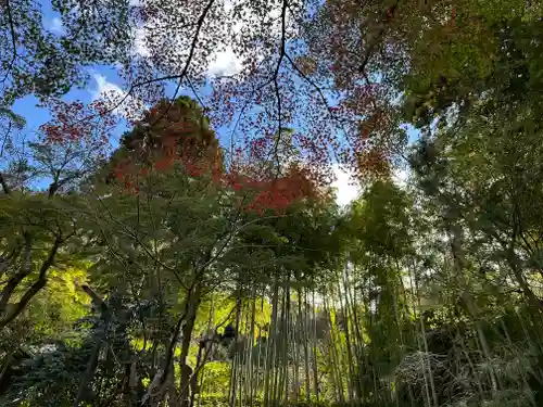 円覚寺(神奈川県)