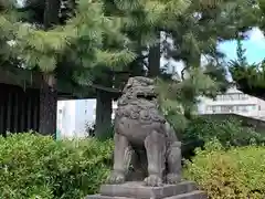 福井神社の狛犬