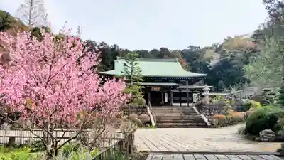 龍寳寺（龍宝寺）(神奈川県)