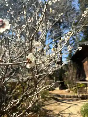 長楽寺(静岡県)