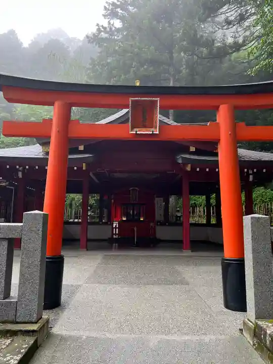 九頭龍神社新宮(神奈川県)