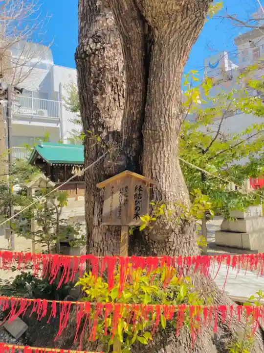 三輪神社の自然