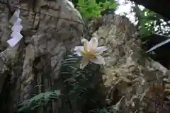 鹿島大神宮の自然