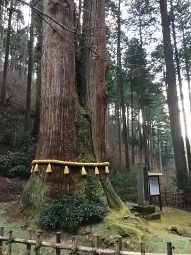 御岩神社の自然