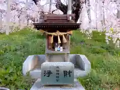 瀧桜神明宮(福島県)