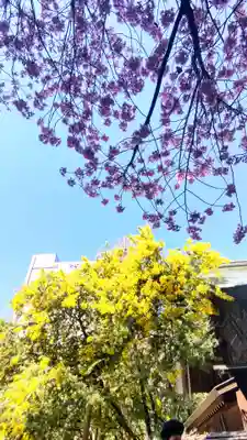 蔵前神社(東京都)