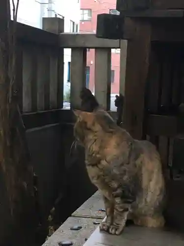 小野照崎神社の動物