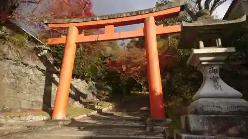 吉田神社の鳥居