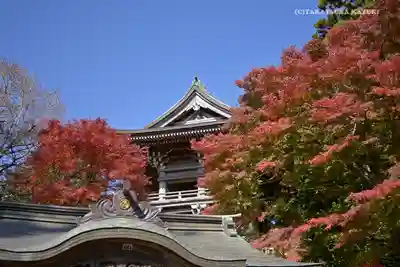 高尾山薬王院のその他建物