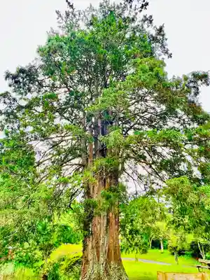 華足寺(宮城県)