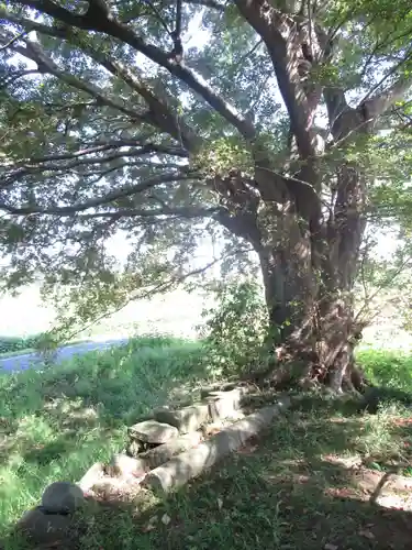 神明神社(千葉県)
