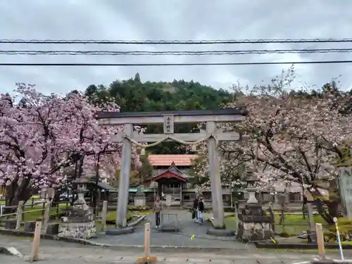 春日神社の御朱印