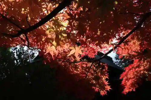 滑川神社 - 仕事と子どもの守り神の自然