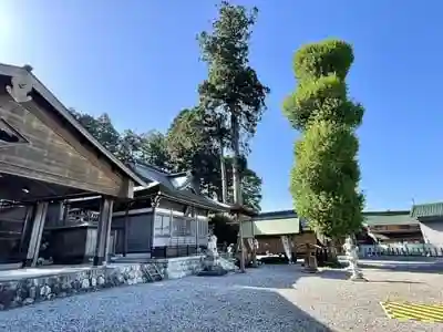 八幡神社の建物その他