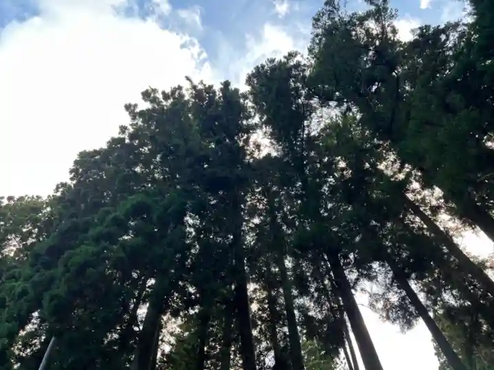 大宮温泉神社(栃木県)