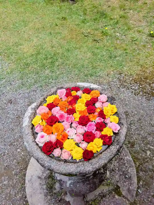丹生都比売神社(和歌山県)