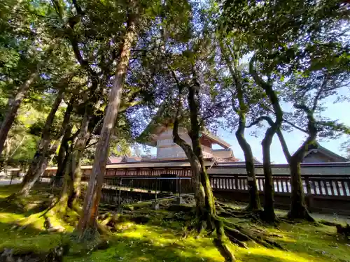 出雲大社(島根県)