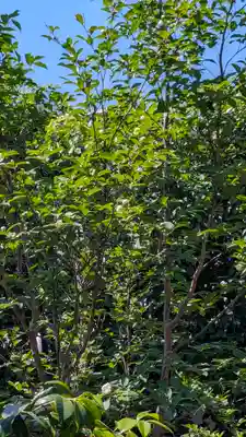 東林院(京都府)