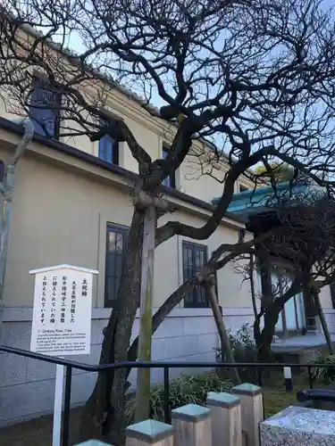 泉岳寺のその他建物