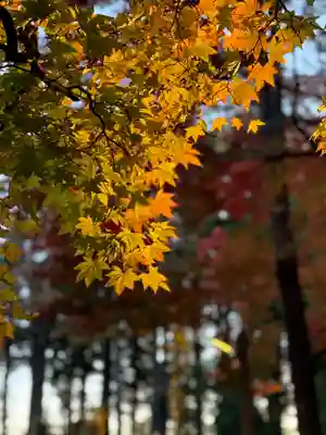 諏訪大社下社秋宮(長野県)