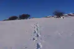 山家神社奥宮の景色