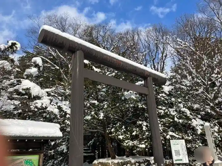 北海道神宮の鳥居